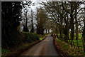 Fleetham Lane near Little Fencote