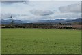 Grassy field southwest of St David