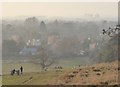 View from the escarpment, Petersham Park - in polluted conditions