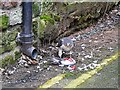 Sparrowhawk eating a pigeon