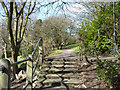 Steps and path above Wood Green Tunnel