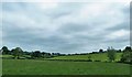 Farmland north of the A3 (Armagh Road)