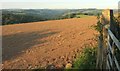 Arable field near Maudlin