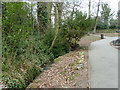 Path by Blacketts Brook, Friary Park