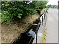 Small bore pipe over East Brook, Dinas Powys