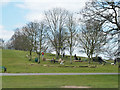 Play area, Oak Hill Park