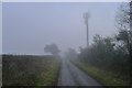 Mobile telephony mast on Higher Drove road