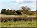 Hidden barn - Itchen Stoke Down