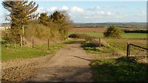 SU5434 : Farm track to Itchen Down Farm by Mr Ignavy