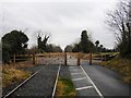 N3447 : Level Crossing on the Athlone to Mullingar Cycleway by JP