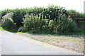 Gateway from the minor road running north from Hipswell towards Colburn