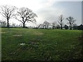 Farmland with trees, east of Low Park House