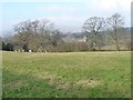 Sheep grazing, south of Augill Castle