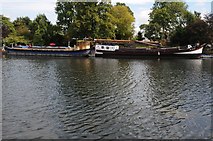 SU9973 : Barges moored on the River Thames by Philip Halling