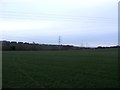 SE3811 : Fields and Pylons to the North of Shafton by Jonathan Clitheroe