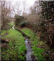 Dimore Brook, Hardwicke