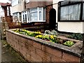 Colourful spring display on a wall in Dorbett Drive