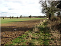 TG2123 : Crop fields west of Brampton by Evelyn Simak