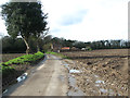 Bolwick Lane approaching Bolwick Hall