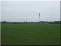 Young crop field towards the M69 Motorway