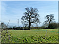 Fields near Bentley Heath Farm