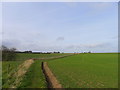 Newly sown field near New House Farm ,Oby