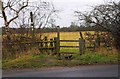 North Worcestershire Path - stile by Houndsfield Lane, Drakes Cross, Worcs