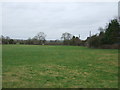 Grazing near Stoney Stanton