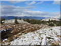 NM9950 : Forest, heather and snow on the slopes of Creag Bhan by John Ferguson