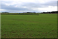 Field beside Spen Common Lane