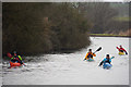 Stroud District : Gloucester & Sharpness Canal