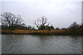 Stroud District : Gloucester & Sharpness Canal