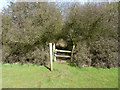 Stile at west side of Conduit Wood