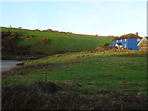 W4738 : Blue painted house at the head of Dunworly Bay by David Sands
