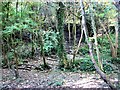 Steps in Speckled Wood from Old London Road