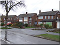 Houses on St. Nicolas Park Drive