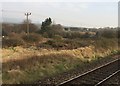 View from a Cardiff-Swansea train - heath and dunes near Pyle