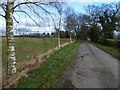 Lane to Park Attwood Farm