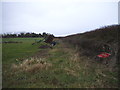 Field by Chalk Hill near Cockernhoe