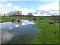 Cloud reflections in water, Mullaghmenagh Upper