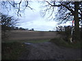 Field in Whiteway Bottom