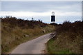 TA4011 : View to the lighthouse from Spurn Warren by Mike Pennington