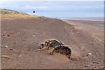 TA3910 : Creel on the beach at Spurn Head by Mike Pennington