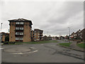 Housing on Cartmell Drive