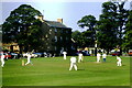 Cricket on Village Green, Frampton on Severn, Gloucestershire 1996