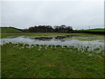 H4868 : A flooded field, Camowen by Kenneth  Allen