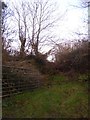 Overgrown track south of Warcombe