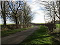 The road out of Scott Willoughby