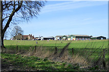 ST8843 : Eastleigh Farm by Robin Webster