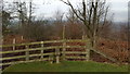 Stile on edge of Elrington Wood